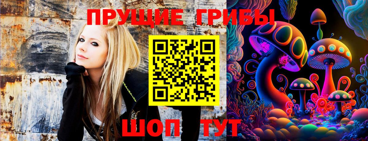 Галлюциногенные грибы мухоморы Уссурийск