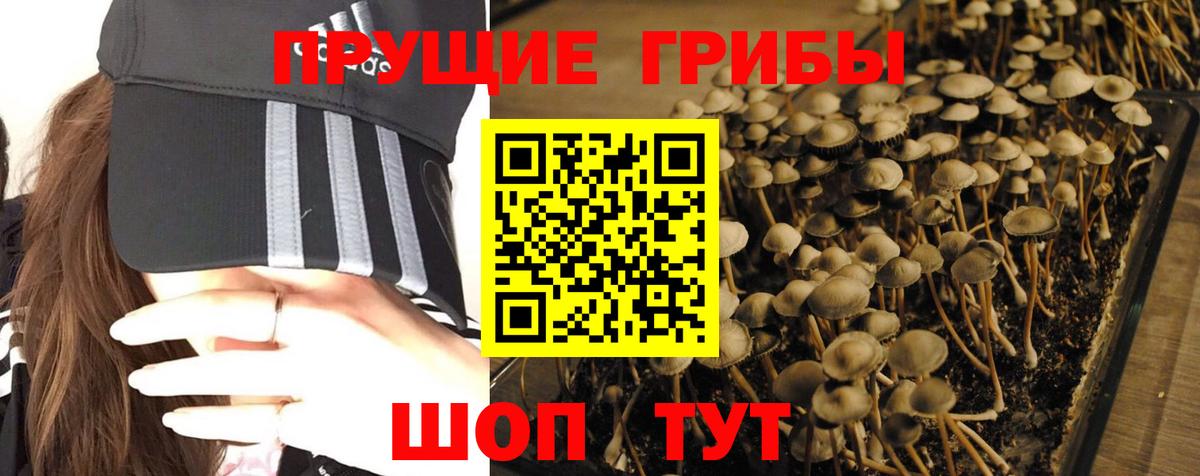 Псилоцибиновые грибы ЛСД  Галлюциногенные грибы мицелий  Вход с VPN  Уссурийск 